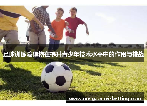 足球训练障碍物在提升青少年技术水平中的作用与挑战